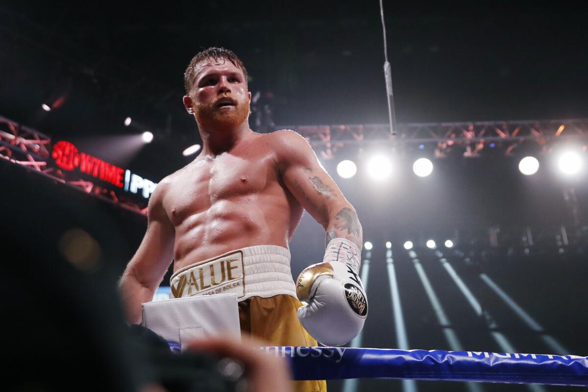 Canelo ?lvarez celebrates immediately after his victory over Caleb Plant on Saturday.