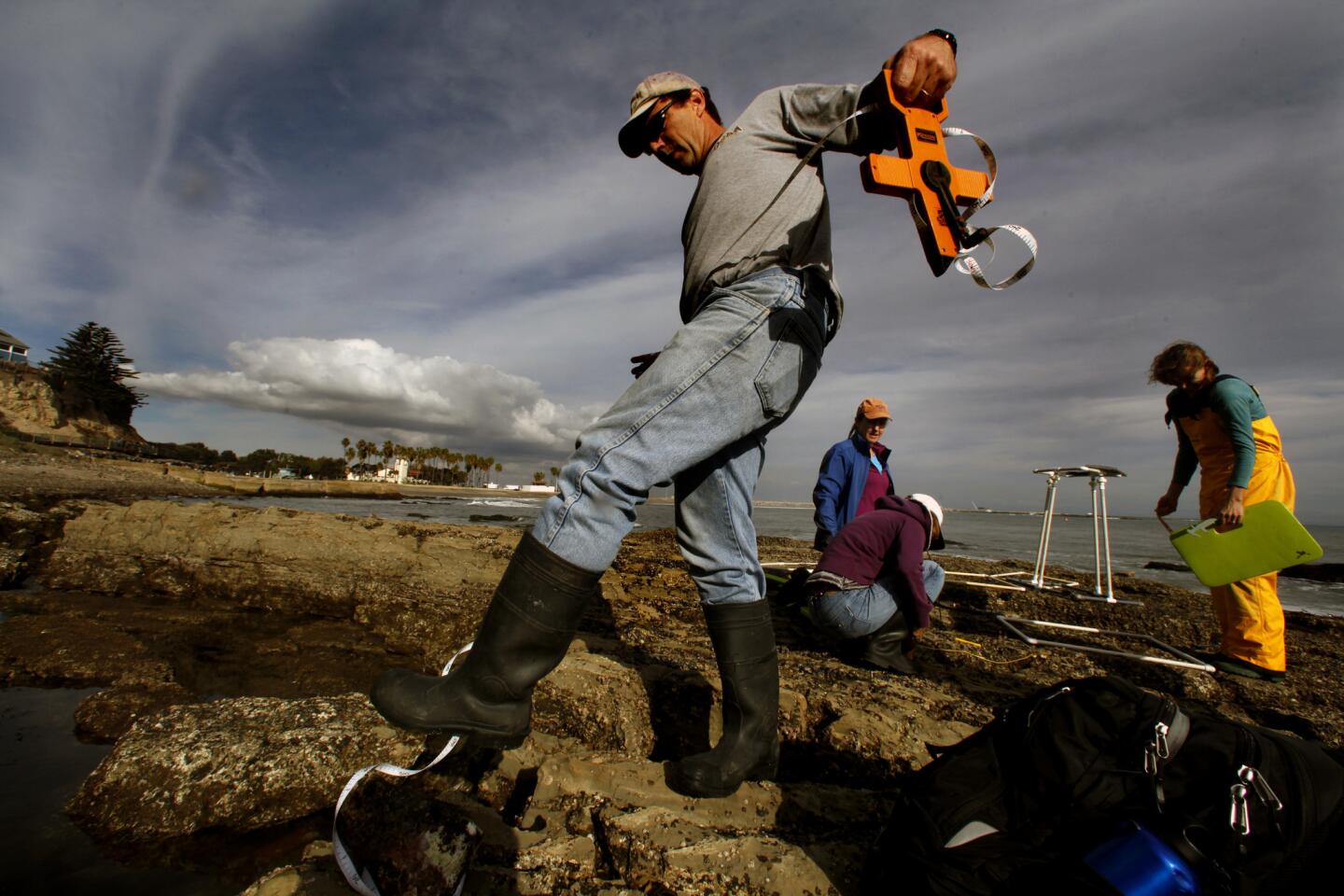 Marine scientist Steven Lee lays tape to mark the area where he and his colleagues will search for sea stars in the Cabrillo Beach intertidal pools. Lee is part of UCLA professor Rich Ambrose's group that has been surveying Southern California tide pools for two decades.