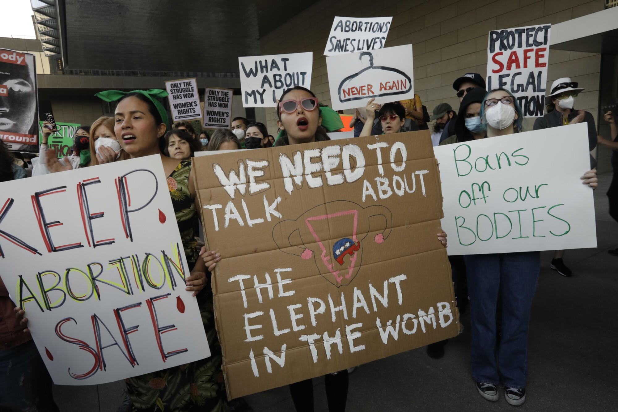 Un manifestant avec une étiquette qui dit "Nous devons parler de l'éléphant dans l'utérus"