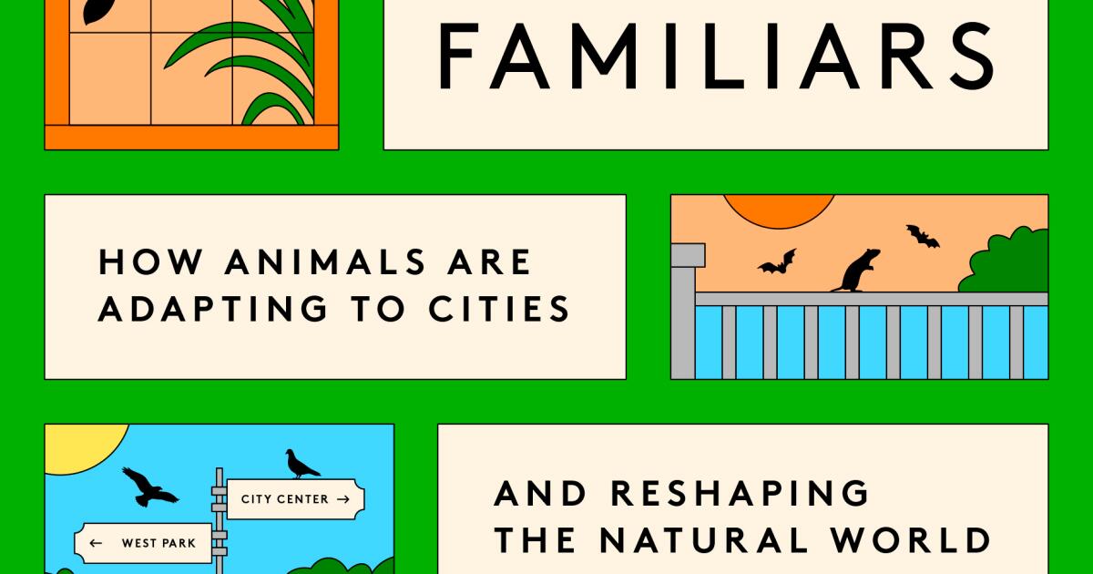 Dan Werb à propos de « Our Wild Familiars », son nouveau livre sur les animaux dans les villes