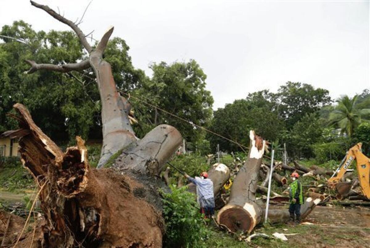 Trabajadores cortan las ramas de un árbol que cayó y mató a un niño en la Ciudad de Panamá, el martes 22 de noviembre de 2016. Tres personas han muerto en Panamá en accidentes derivados de la tormenta tropical Otto.