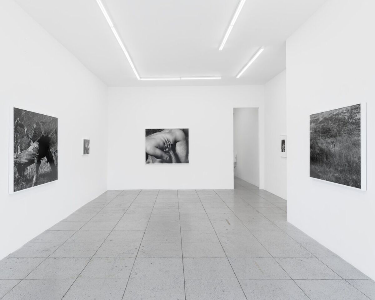 Large photographs hang on white walls in an empty gallery.