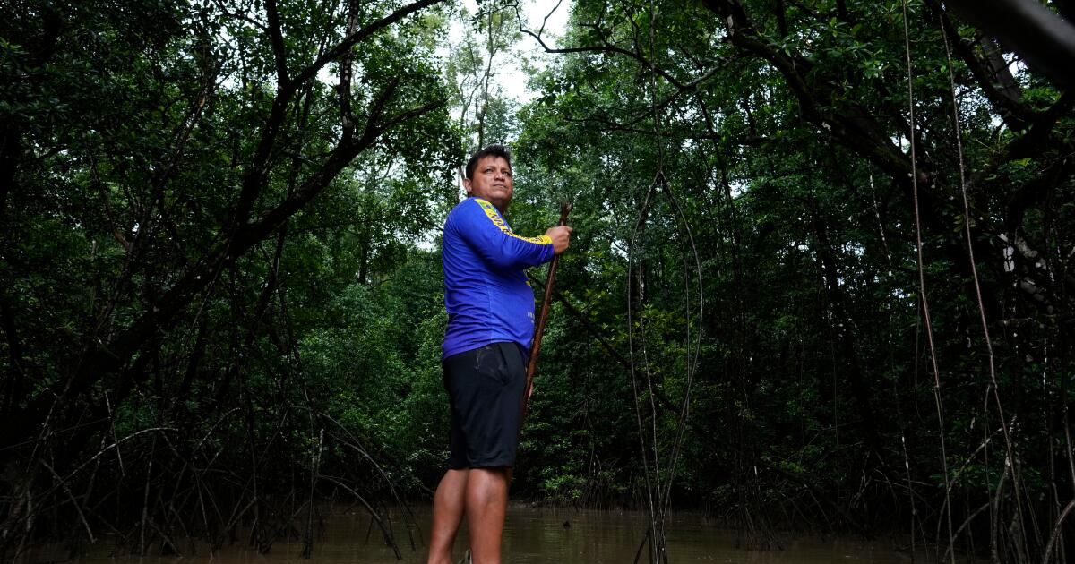 Les forages pétroliers provoquent une forte migration vers les villes de l’Amazonie brésilienne