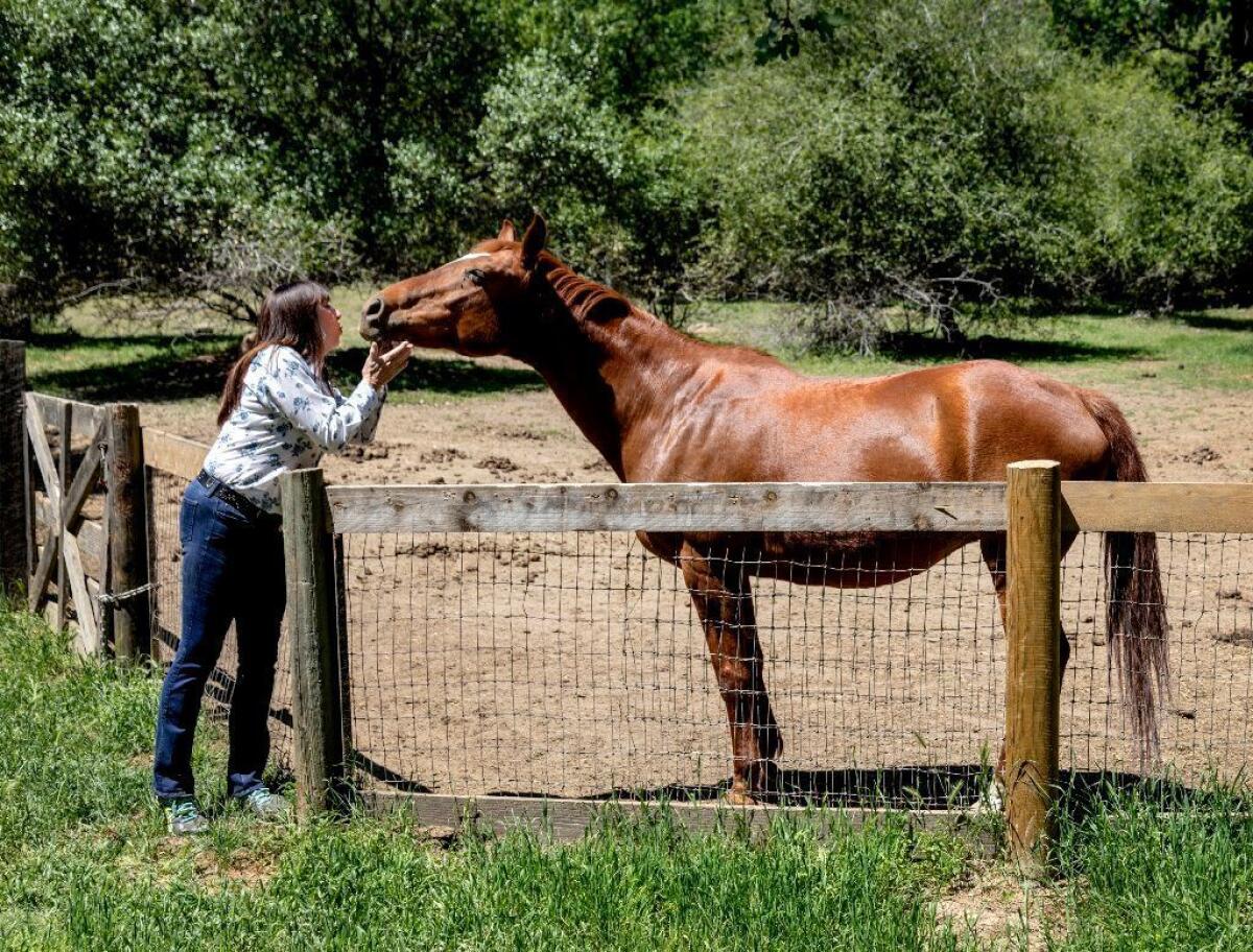 Huston greets one of the horses boarding at her ranch.
