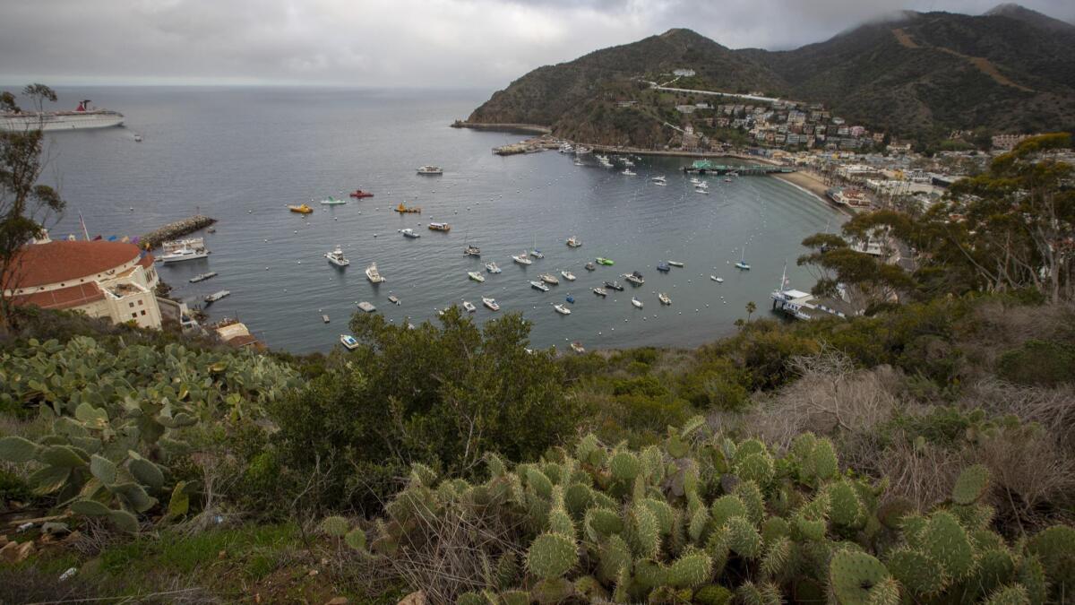 A view of Santa Catalina Island where more than 100 Marines aboard CH-53 helicopters are scheduled to arrive at the Airport in the Sky on Santa Catalina Island to begin repaving the runway.