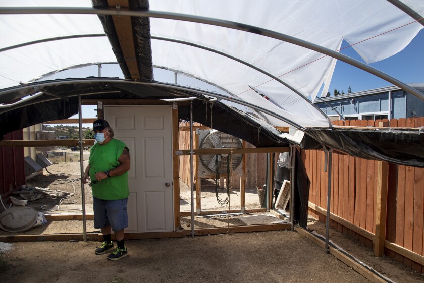 Ronnie Bell inside a greenhouse that he said was damaged by Sheriff’s Deputies during a raid. 