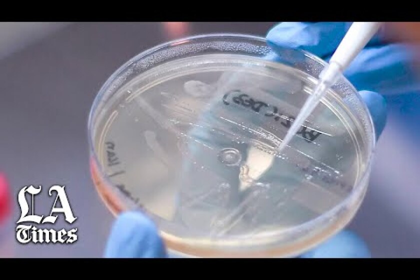 Introduction: The Science Behind the Coronavirus, Series II