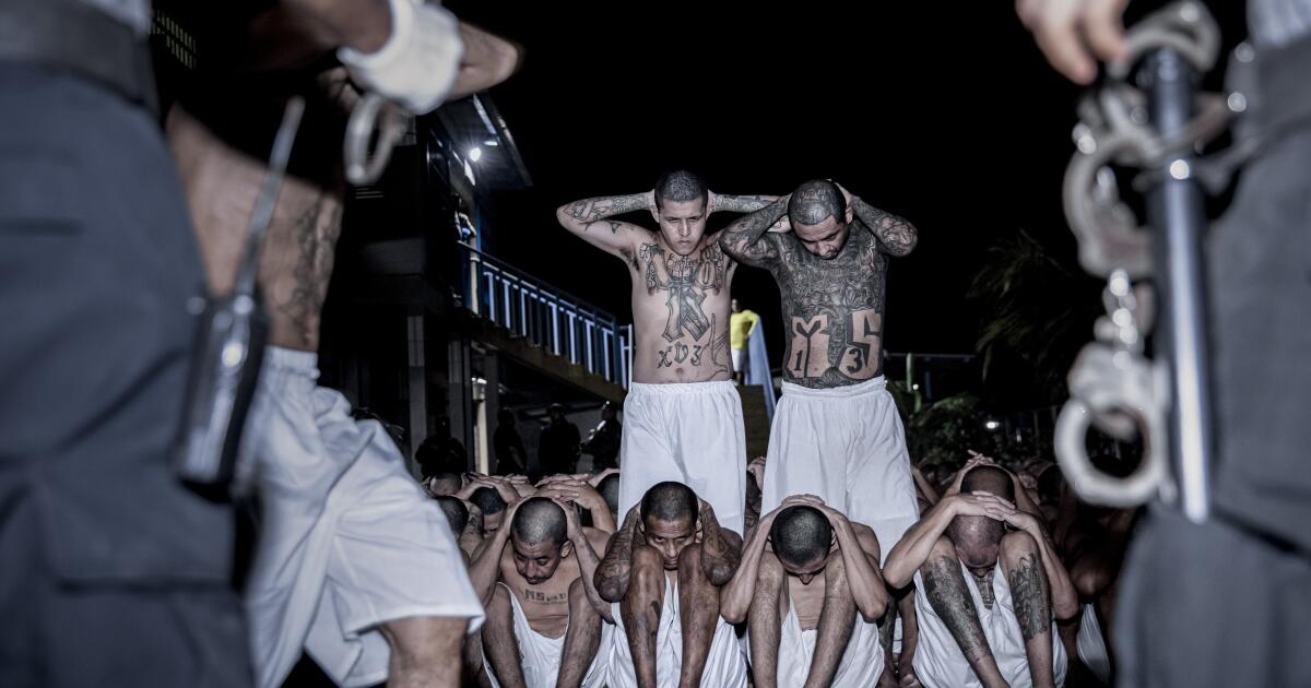Children victimized in El Salvador's anti-gang crackdown, rights group alleges thumbnail