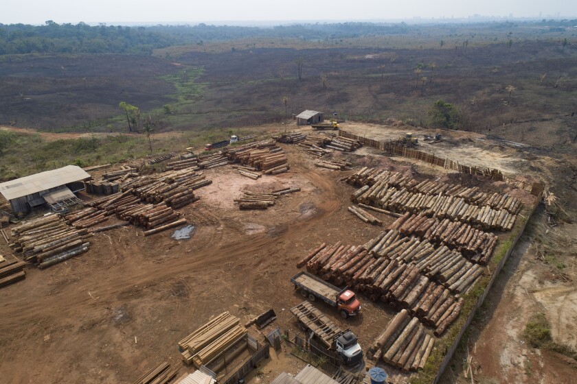 Deforestación de la Amazonía brasileña, la peor en 15 años