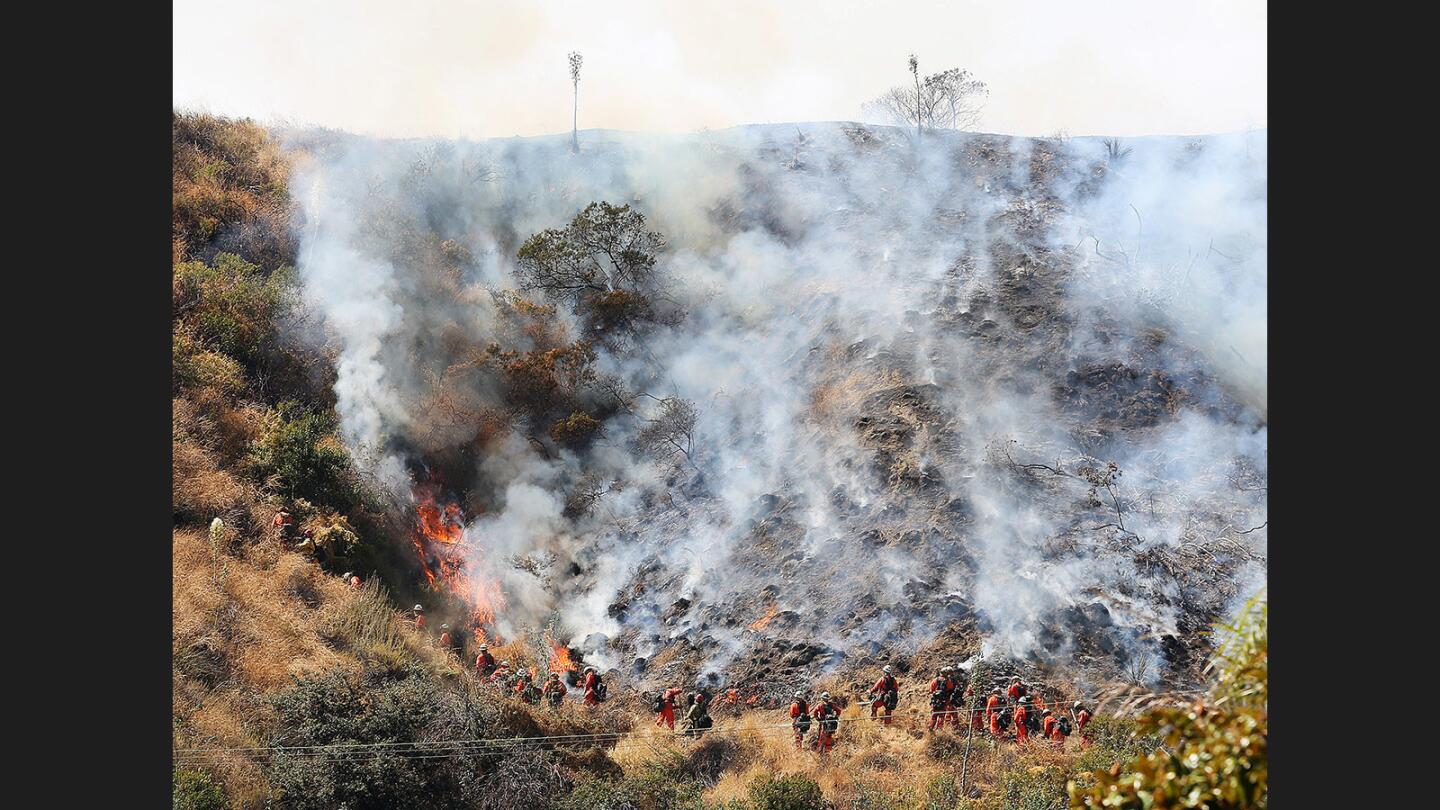 A fire crew cuts a fire line at the scene of a brush fire in the foothills above Hamline Place in Burbank on Wednesday, June 28, 2017. A third alarm was called to an address on Hamline, and Los Angeles County Fire, and the Los Angeles Fire Department helicopter attack crews dropped basket after basket of water onto the windblown flames. Few structures were threatened.