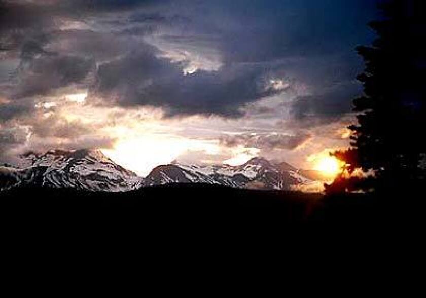 Montana Miracle Los Angeles Times