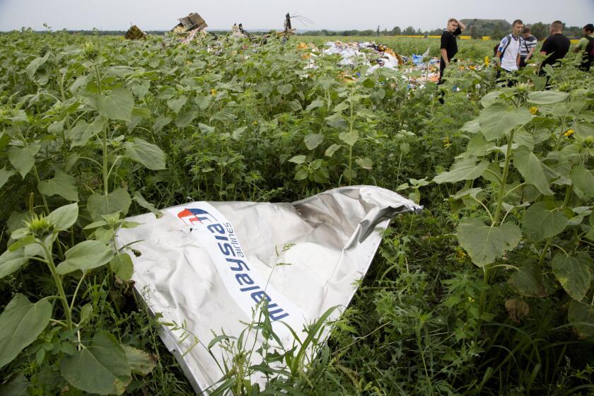 A piece of a plane with the Malaysia Airlines logo lies in the grass as a group of Ukrainian coal miners search the crash site near the village of Rozsypne, Ukraine.