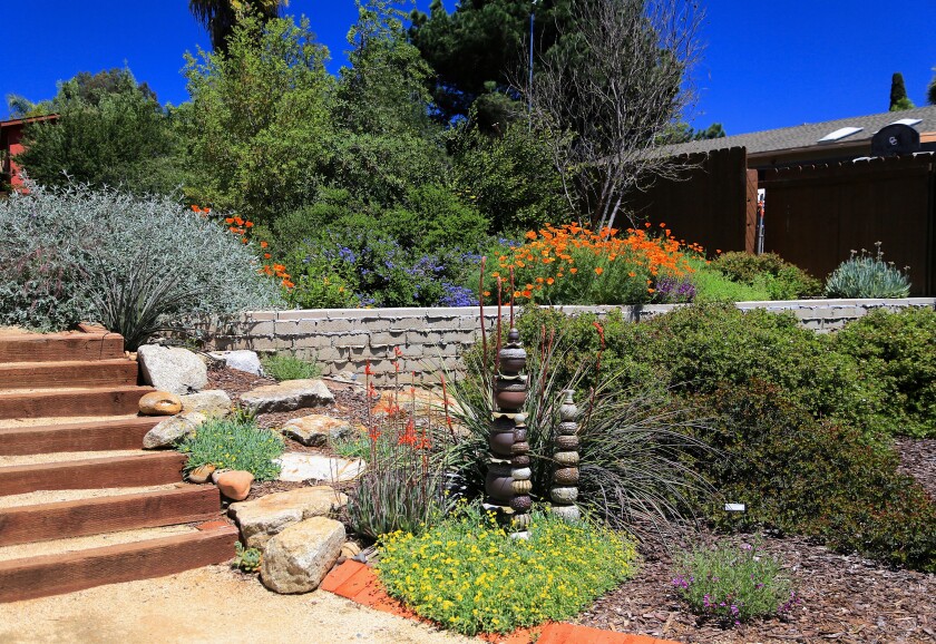 A front yard garden inspiration with California native plants in bloom and decorative stone towers.