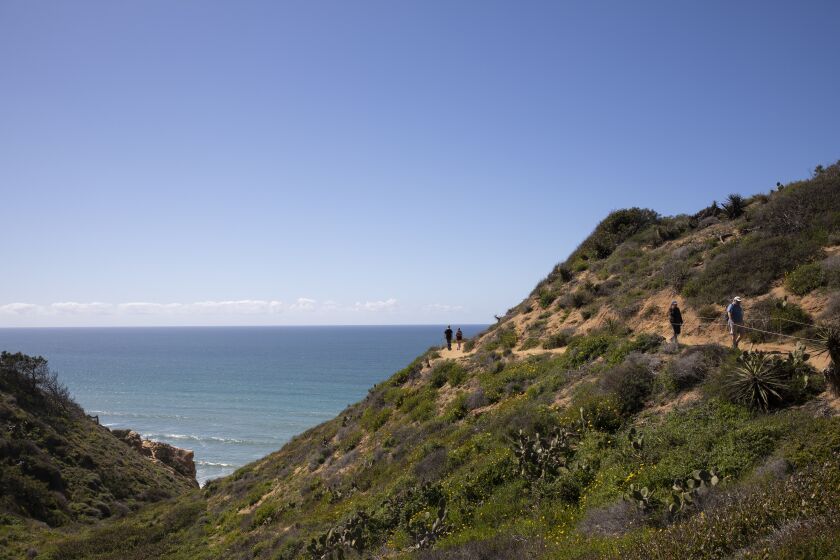 San Diego, CA - March 07: People hike the Guy Fleming Trail at Torrey Pines on Tuesday, March 7, 2023 in San Diego, CA. (Ana Ramirez / The San Diego Union-Tribune)