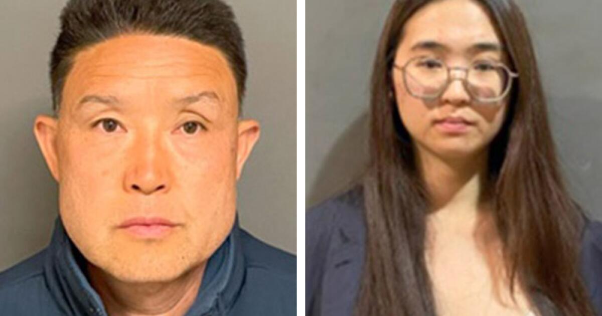 11 dogs died after being crammed in crates in a sweltering van. How a trainer tried to cover it up 11 dogs died after being crammed in crates in a sweltering van. How a trainer tried to cover it up