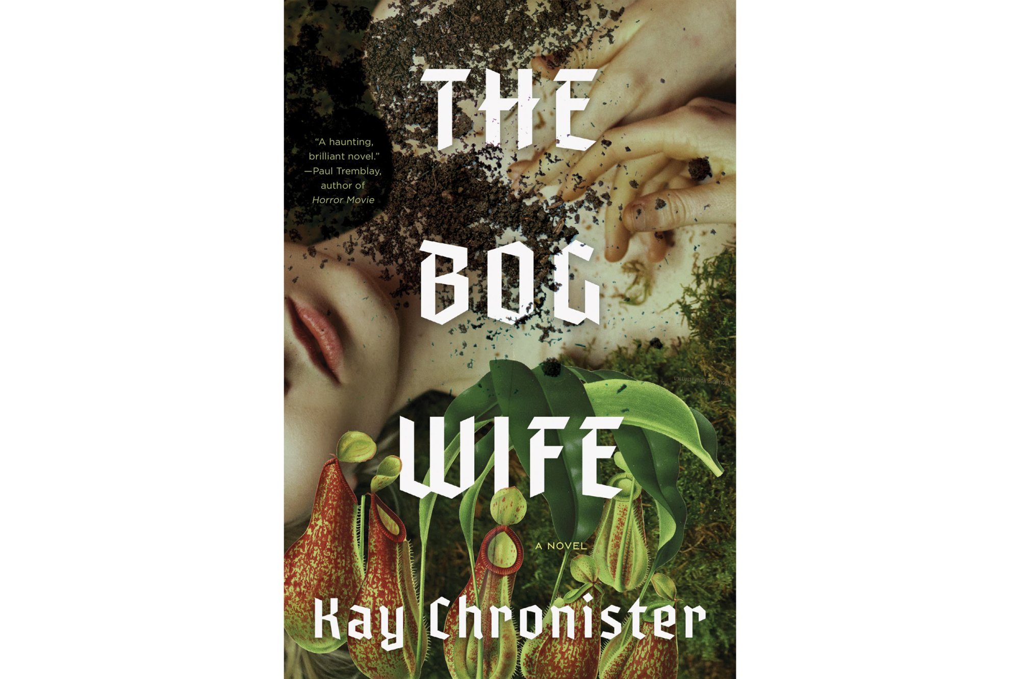 The Bog Wife by Kay Chronister - Counterpoint