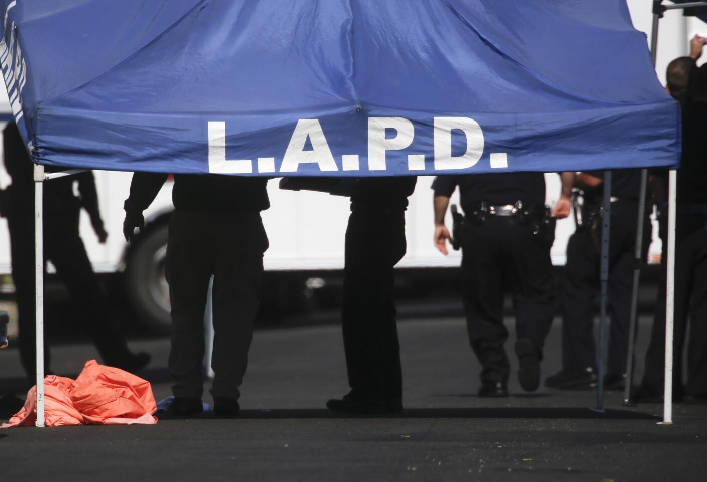 Three boys found fatally stabbed in South L.A. were brothers