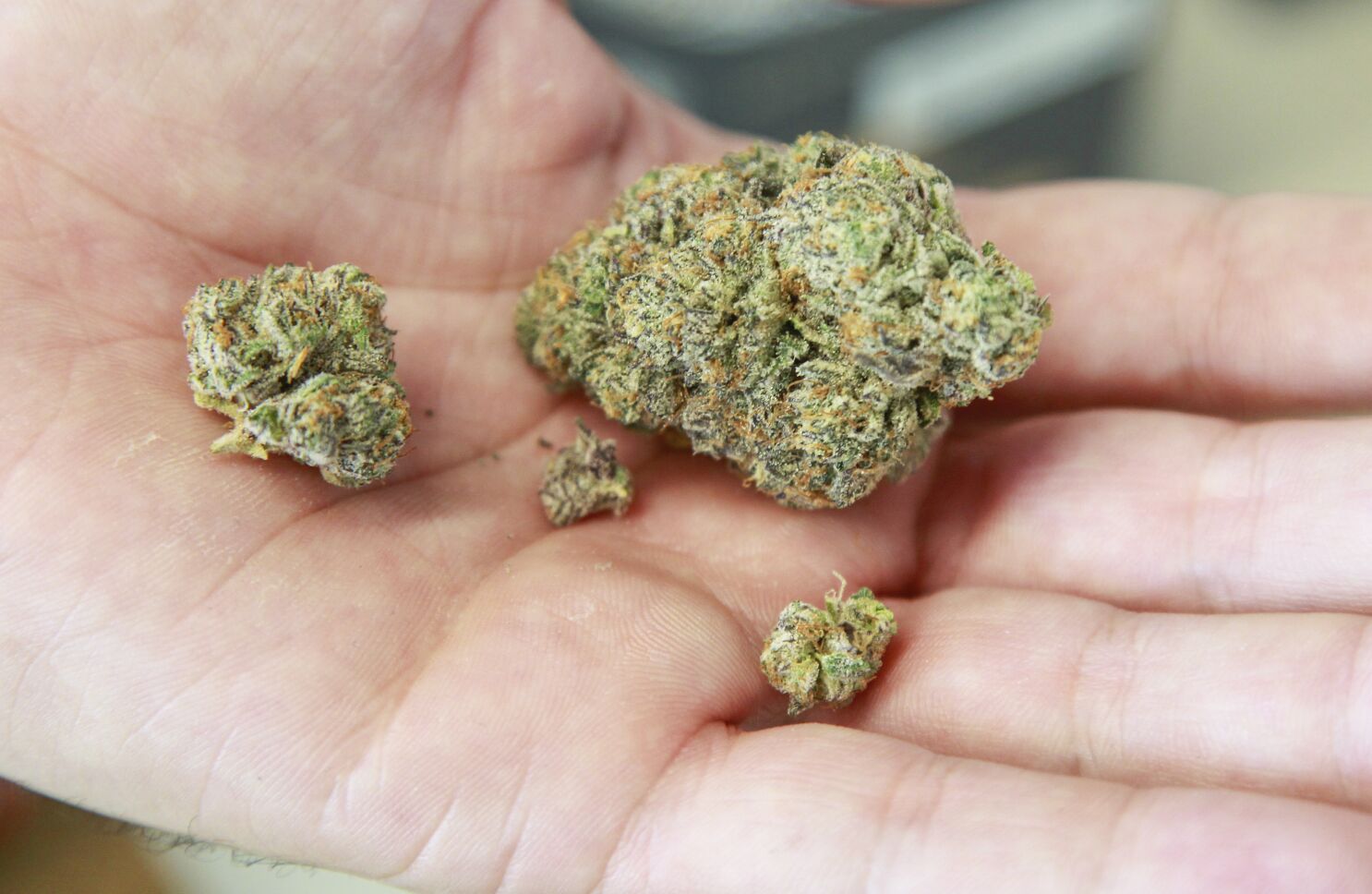 Is Cannabis Addictive? Is Cannabis Addictive?