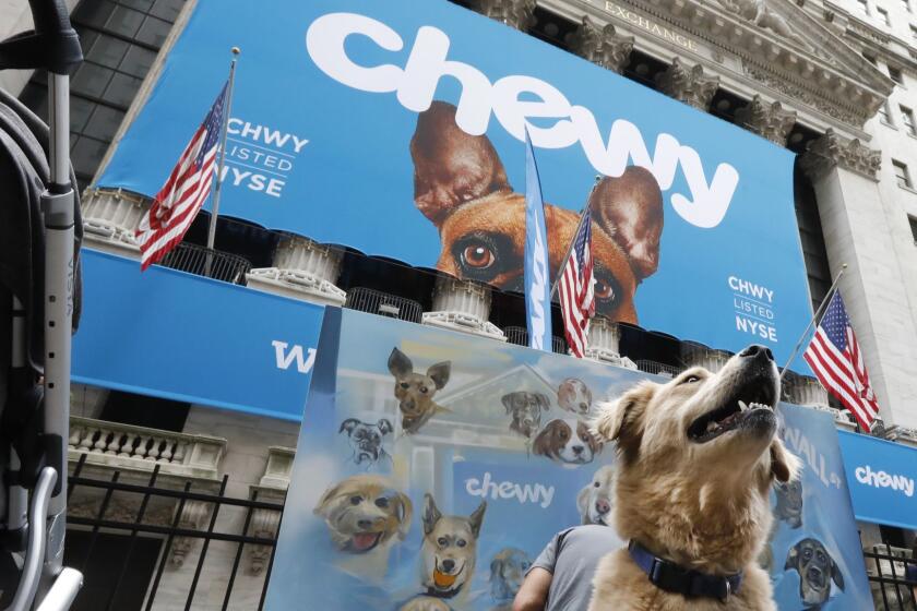 Local dog Frankie poses for photos outside the New York Stock Exchange, decorated for the Chewy IPO, Friday, June 14, 2019. Chewy, the online seller of pet food and squeaky toys, went public Friday and its shares soared 71%. (AP Photo/Richard Drew)