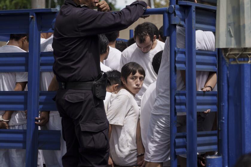 FILE - Men who were detained under a state of emergency arrive at a detention center, transported there by National Police in a cargo truck, in Soyapango, El Salvador, Oct. 7, 2022. The international organization Human Rights Watch says it has official data on violations of due process, extreme overcrowding in prisons and deaths of people in the custody of the authorities during the country's state of emergency. (AP Photo/Moises Castillo, File)