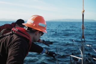 David Valentine, a UC Santa Barbara researcher, went out to sea in March 2023 with his students to collect sediment samples from the seafloor to study the legacy of DDT dumping off the Los Angeles coast. PUBLISH ONLY ON STORIES RELATED TO Rosanna Xia's DDT PROJECT