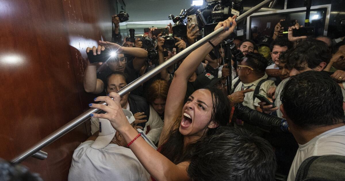 在抗议声中,墨西哥参议院批准了备受争议的司法改革 在抗议声中,墨西哥参议院批准了备受争议的司法改革