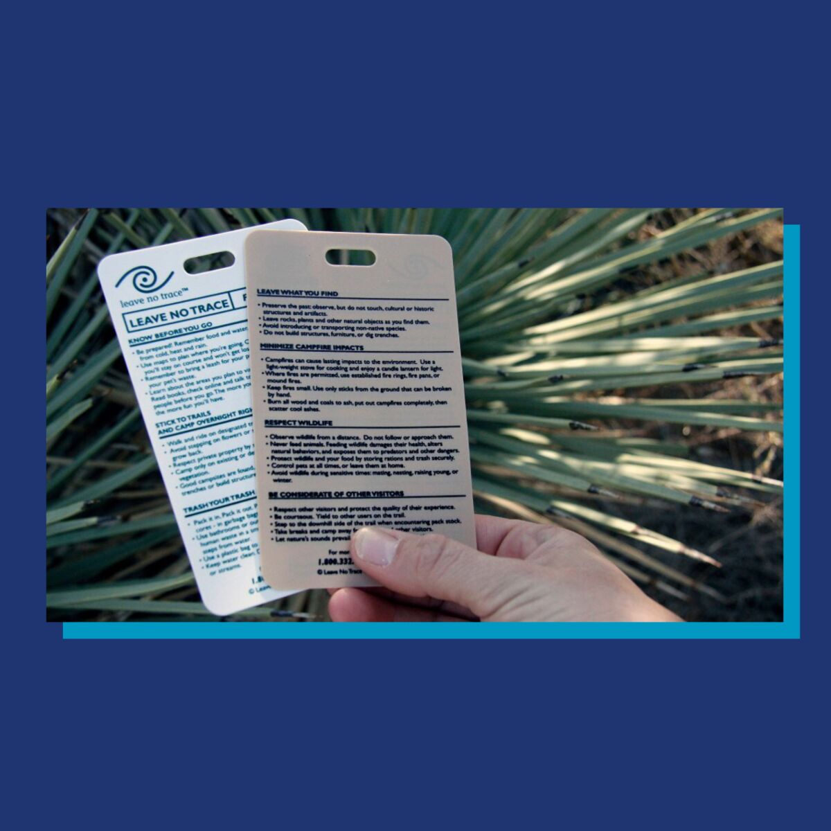 A hand holds two reference cards.