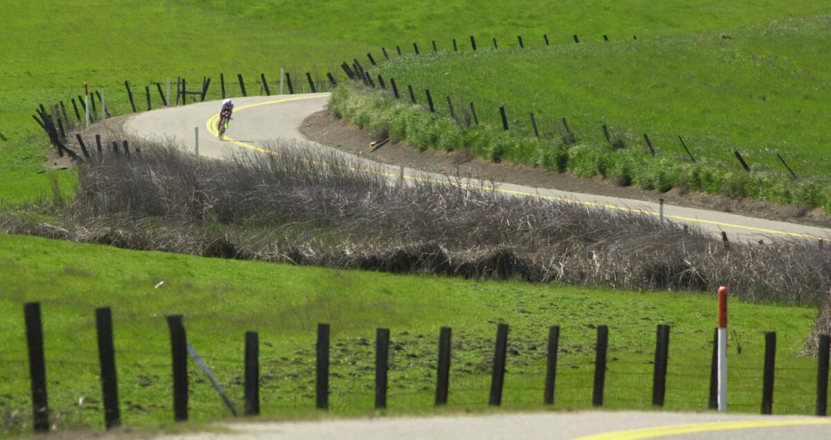 A person on a bike is seen rounding a bend on a winding road bordered by fence posts and bright green grass.