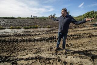 VENTURA, CA-JANUARY 18, 2023:Juan Carlos, 38, owner of American Berry Farm in Ventura, stands on a now mud covered road located next to some of the 20 acres of strawberries he grows that were destroyed due to flooding as a result of the nearby Santa Clara river overflowing its banks from all the rain. (Mel Melcon / Los Angeles Times)