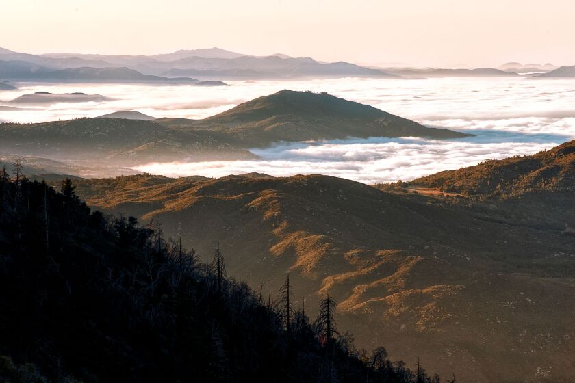 Palomar Mountain is known for its fall foliage and exquisite views this time of year.