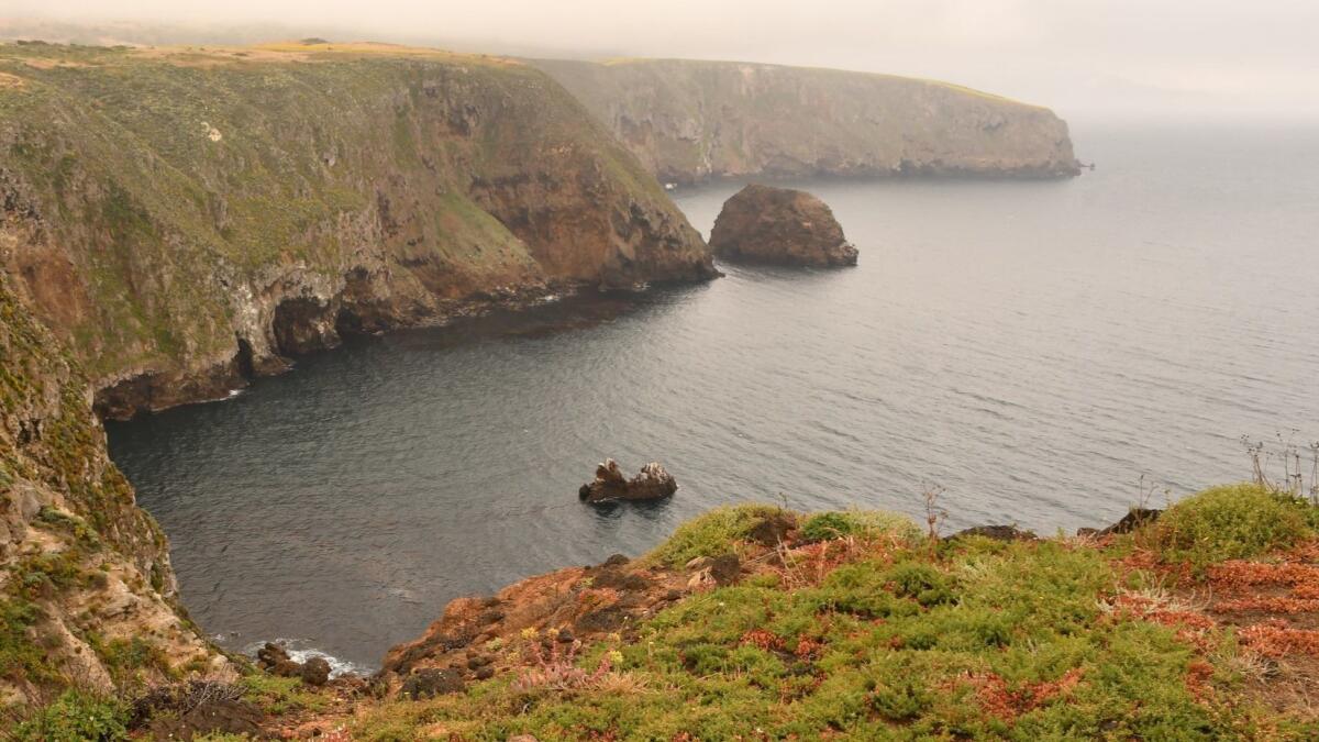 Cliffs rise above the Pacific near Cavern Point on Santa Cruz Island, Channel Islands National Park.