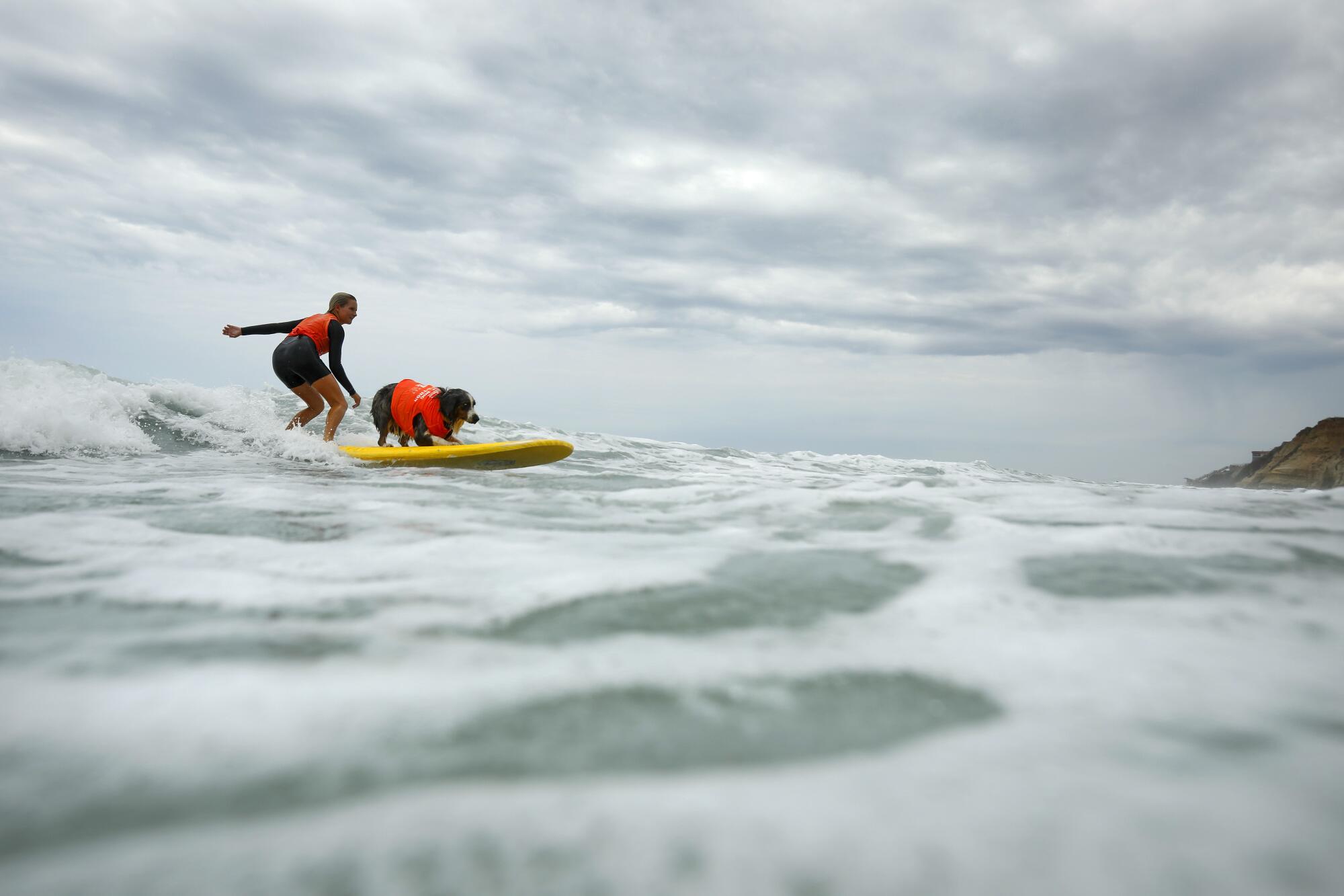Maddie Stanton and River surf in the 18th annual Surf Dog Surf-A-Thon.