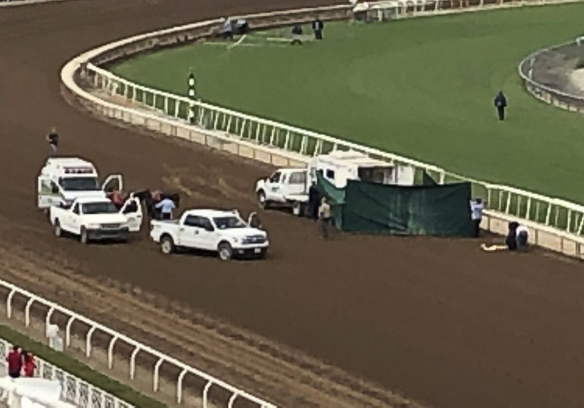 Santa Anita track personnel tend to Emtech, who broke down in the stretch on Saturday.