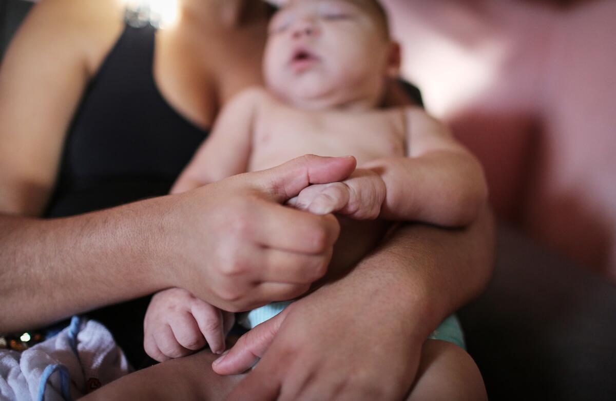 An infant born with microcephaly is held by his mother in Recife, Brazil.