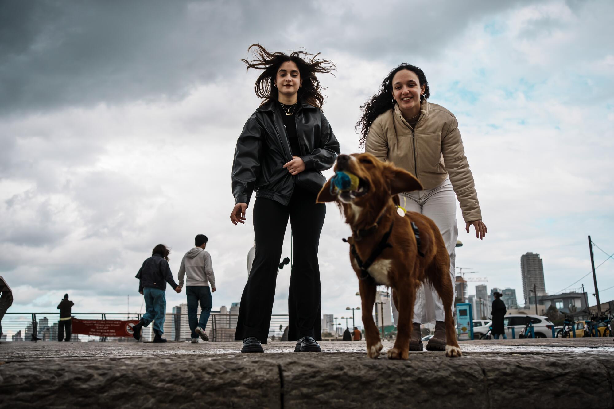 两个十几岁的女孩在海岸边和一只狗玩耍 