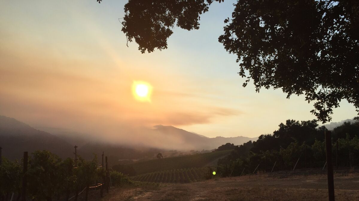Soberanes fire smoke pours over the mountains from Big Sur toward the vineywards of Bernardus Winery in the Cachagua area of Carmel Valley