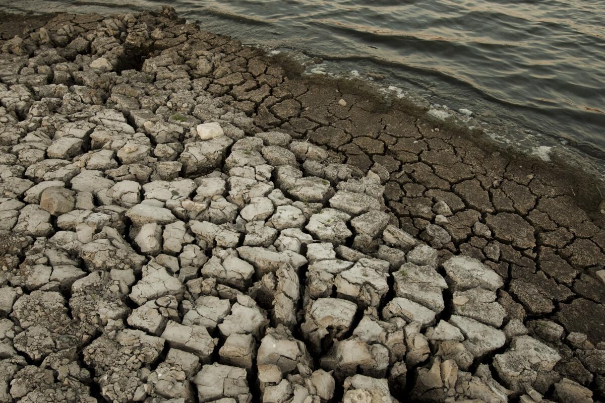 California's ongoing drought has nearly emptied Lake San Antonio in Monterey County.