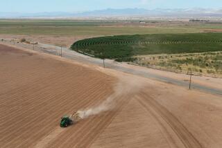 Fort Mojave, Arizona-Sept. 9, 2022-A tractor prepares land in Fort Mojave for new corps. The Colorado River runs through Fort Mojave Indian Reservation which provides water for agriculture. Fort Mojave Indian Reservation owns land along the Colorado River, which is essential to their heritage and survival. They use the water for agriculture, provide water for their residents along with other residents of the area, and use the water for recreation. Photo taken on Sept. 8, 2022. (Carolyn Cole / Los Angeles Times)