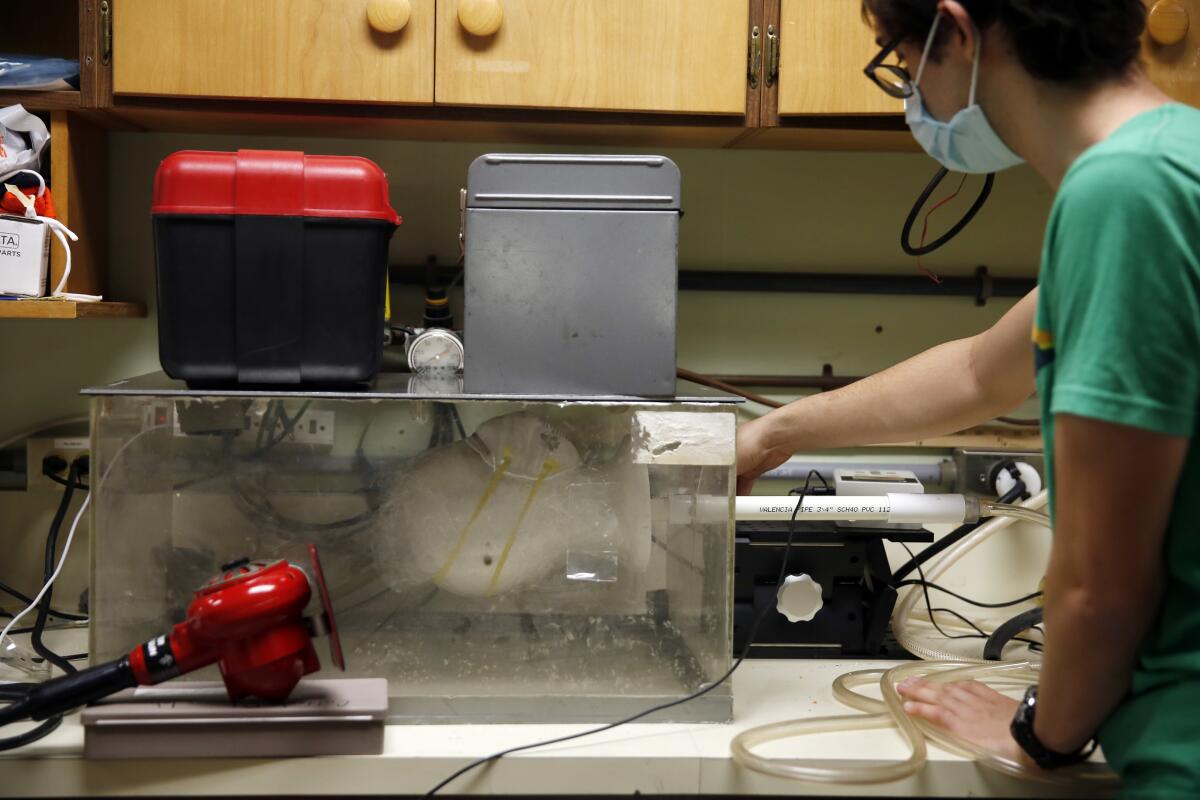 Albert Nazeeri inside the Caltech geobiology lab