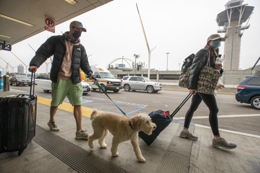 LOS ANGELES, CA - NOVEMBER 23: Travelers wearing masks arrive with their dog at LAX as the Thanksgiving holiday getaway period gets underway on Monday, Nov. 23, 2020 in Los Angeles, CA. Millions of Americans are carrying on with their travel plans ahead of Thanksgiving weekend despite the CDC's urgent warnings to stay home as the number of daily cases and hospitalizations in the country continue to hit record highs. Confirmed cases in the U.S. for the disease topped 12 million on Saturday as more than 193,000 new infections were recorded in the US on Friday. This broke the previous record for the largest single-day spike on Thursday - and over 82,000 patients are now hospitalized across the country. (Allen J. Schaben / Los Angeles Times)