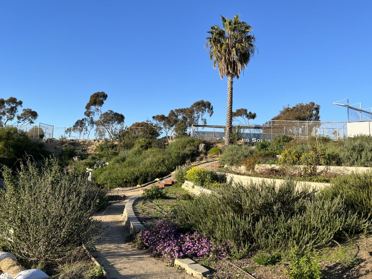 The student-designed garden on SDA's campus.