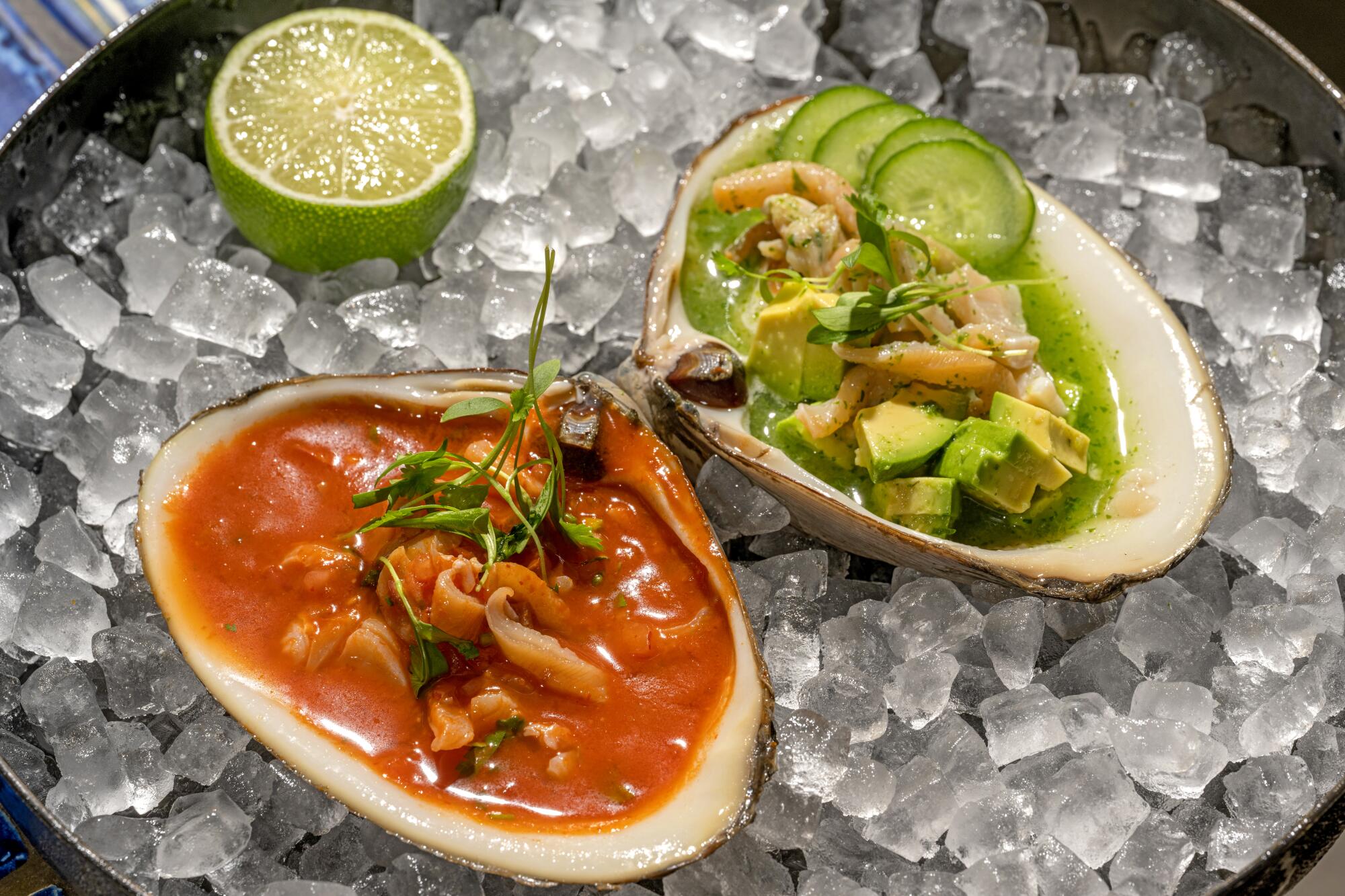 Big, beautiful clams: almeja preparada doused in chef Gilberto Cetina's sauces.