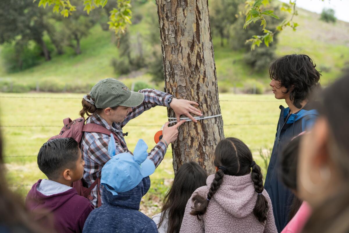 A staff member from the Irvine Ranch Conservancy teaches students from the Delhi Center how to measure the width of a tree.