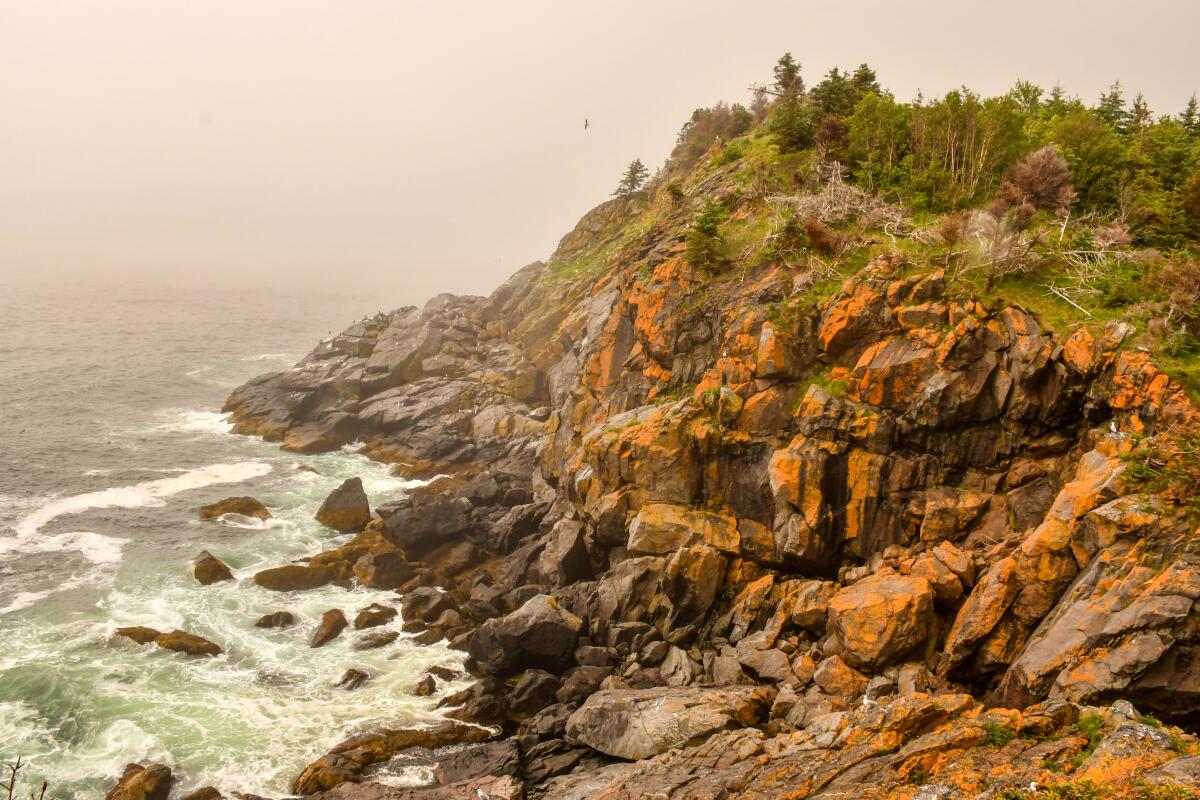 Near Squeaker Cove on a foggy day, Monhegan Island, Maine.