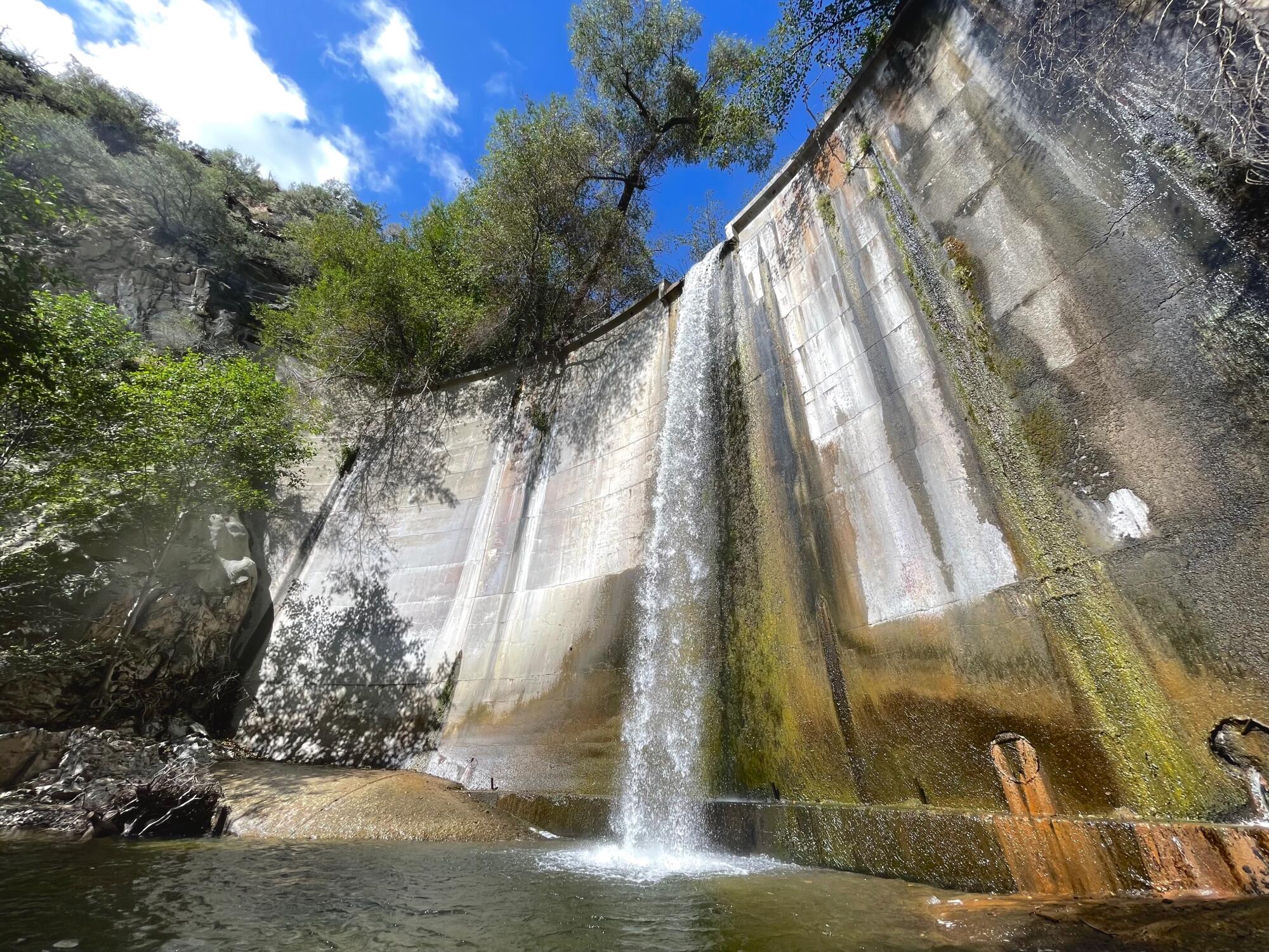 Water cascades over the Brown Mountain Dam, seen from below, with canyon walls and trees rising above it.