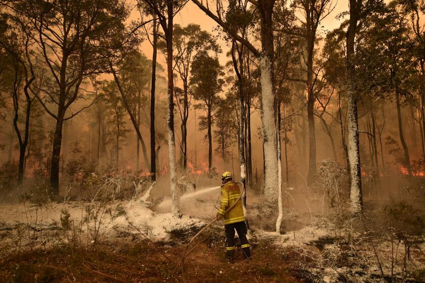 An Australian firefighter sprays fire retardant in the New South Wales town of Jerrawangala on Wednesday.