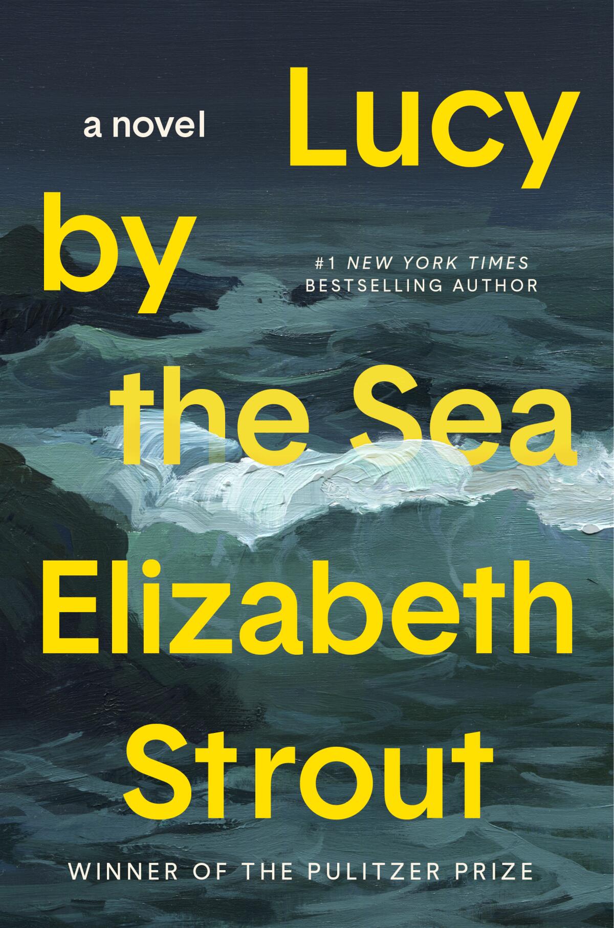 "Lucy by the Sea: A Novel" by Elizabeth Strout