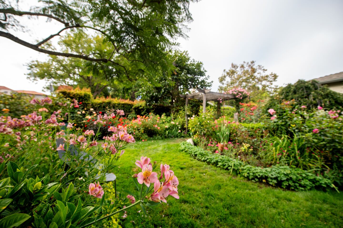 Gardens carved with color