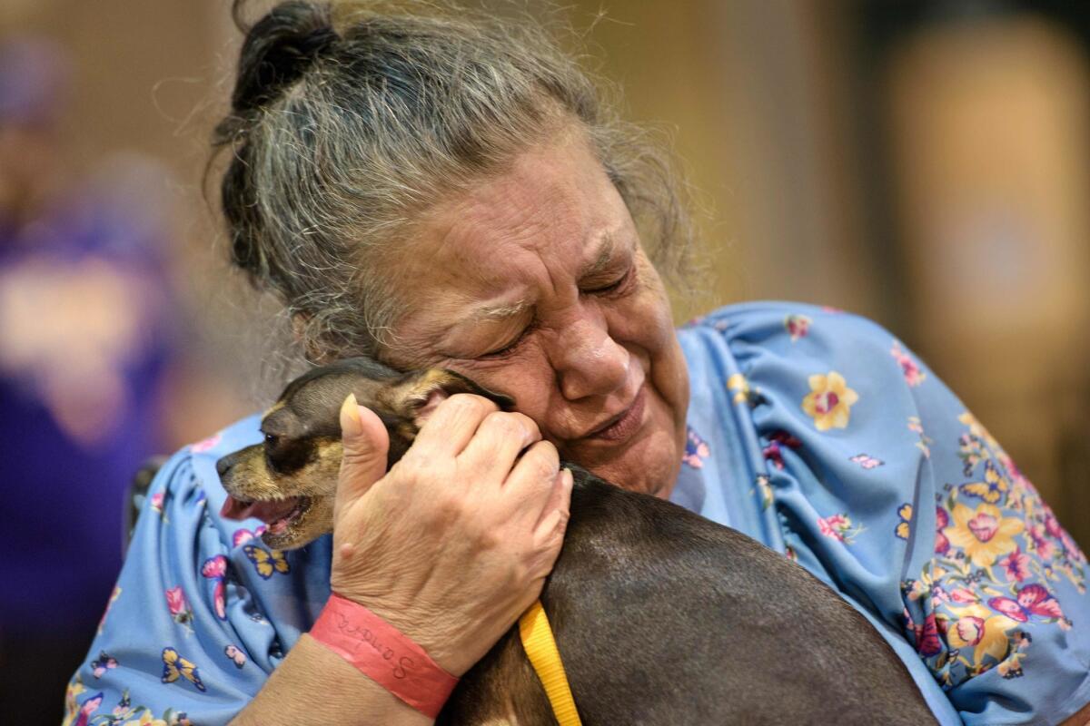 Sandra Montanaro holds her dog Dixy at an animal shelter set up at the Lamar Dixon Expo Center in Gonzales, La. The center also houses humans forced to evacuate by this week's flood.