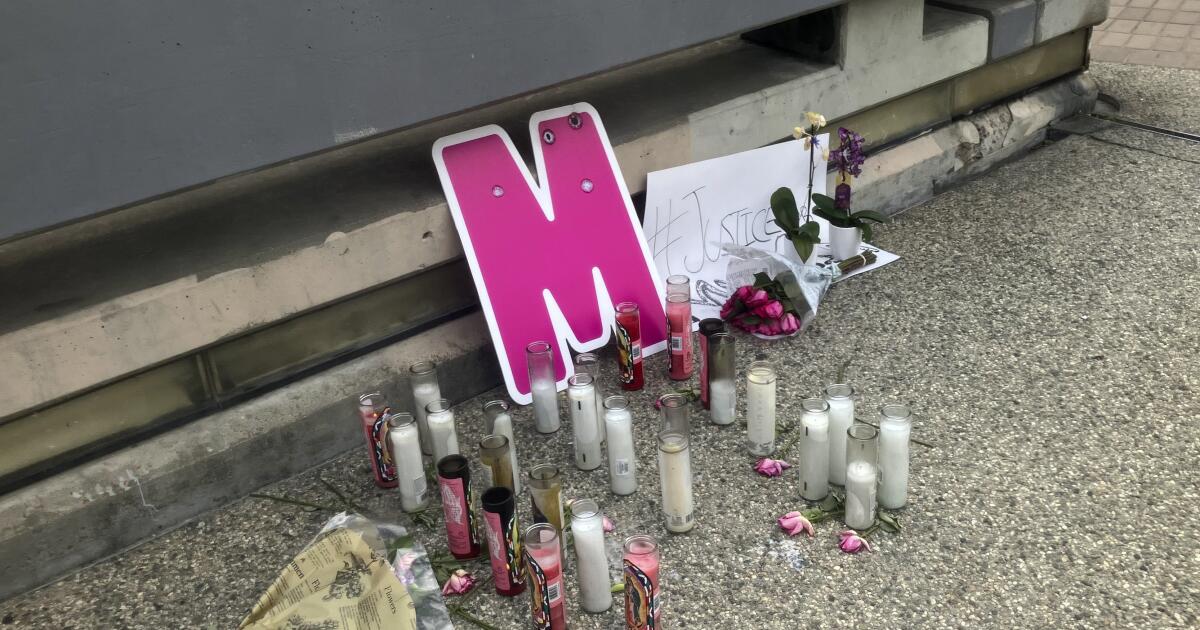 New details emerge in murder of L.A. model found stuffed inside her own refrigerator